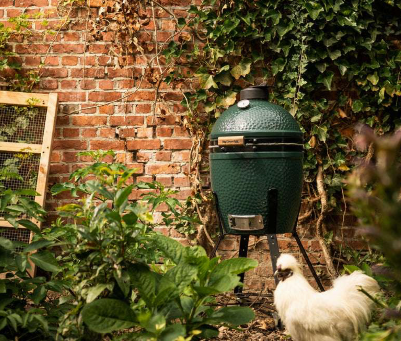 Small Big Green Egg