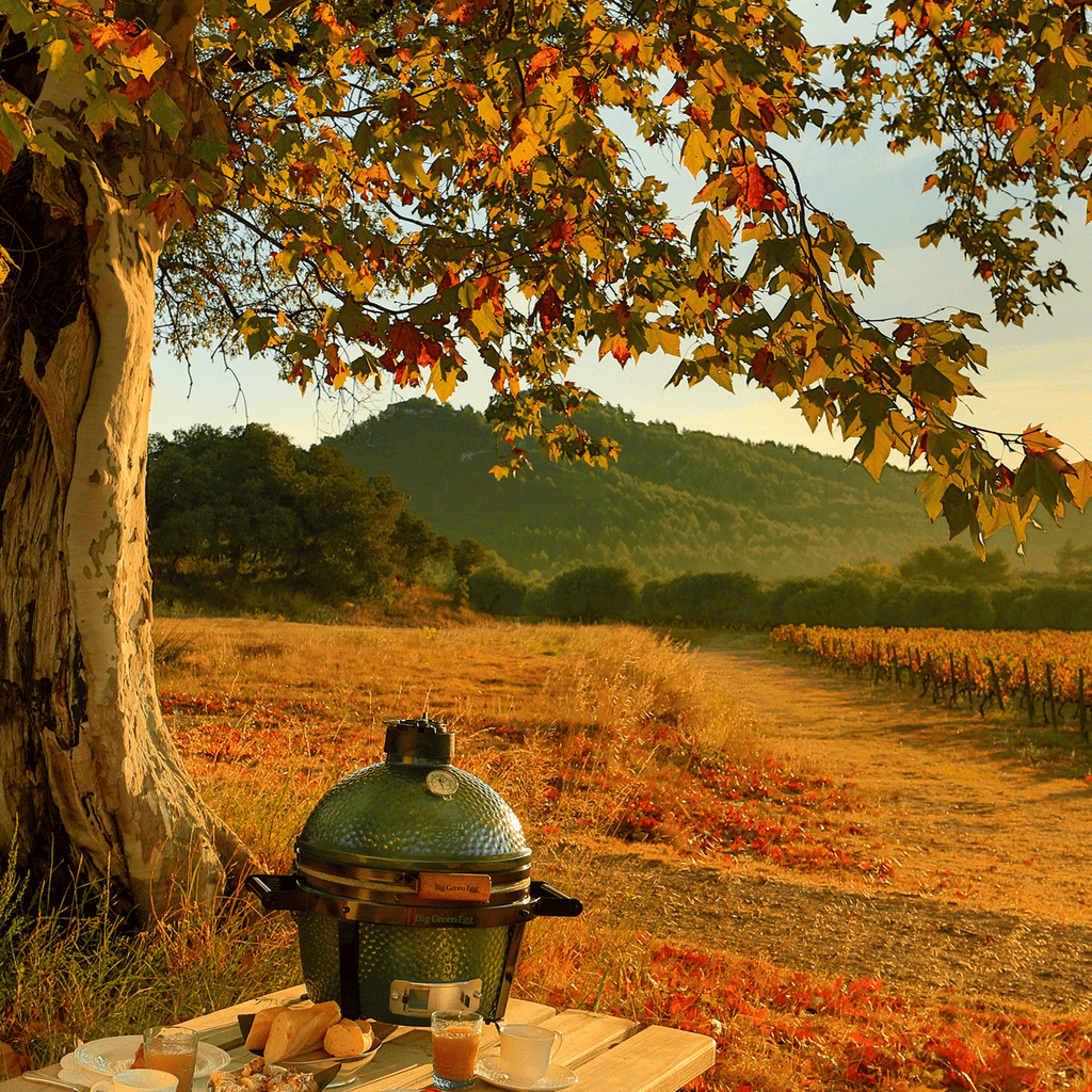 Big Green Egg- MiniMax Big Green Egg