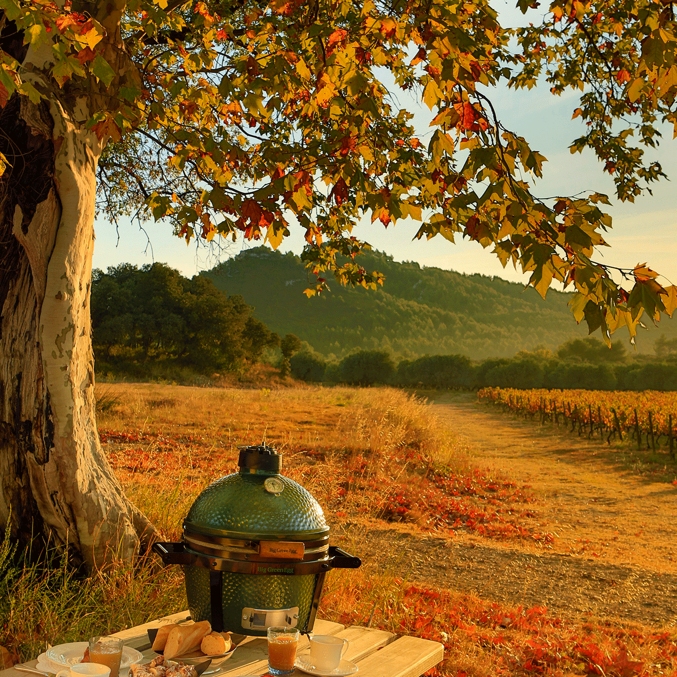 Big Green Egg- MiniMax Big Green Egg