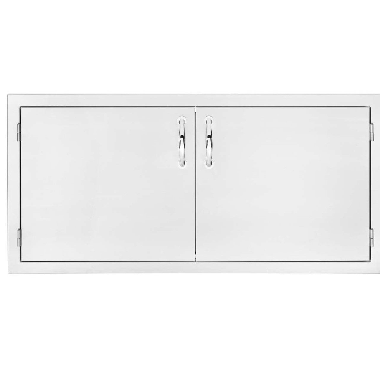 True Flame 42" Double Access Door with Hidden Hinge