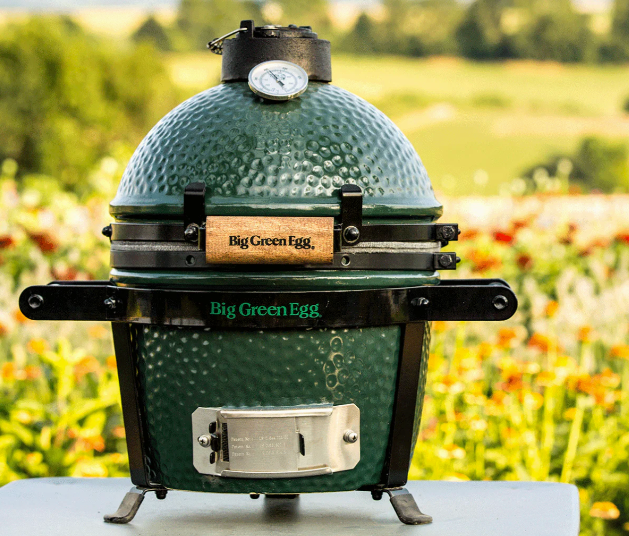 Mini Big Green Egg