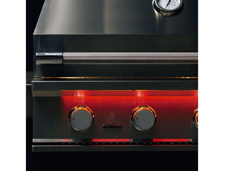TrueFlame 40" Built-In Grill w/ insulated jacket
