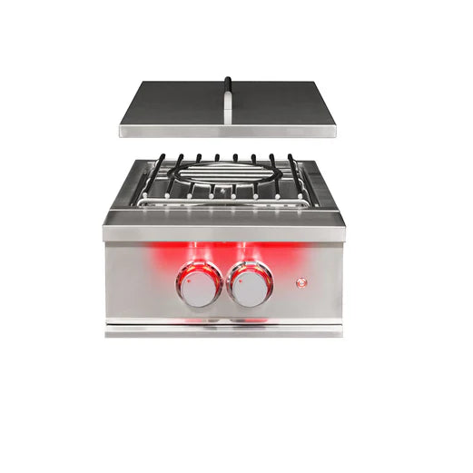 TrueFlame Power Burner - LP/NG