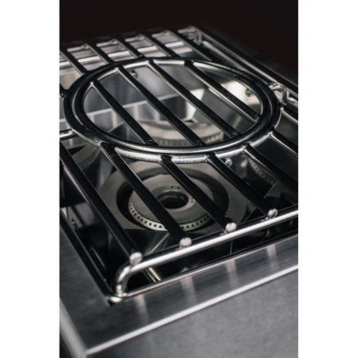 TrueFlame Power Burner - LP/NG